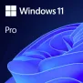 MICROSOFT WINDOWS 11 PROFESSIONNEL 64 BITS FR - OEM