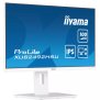 ÉCRAN IIYAMA PROLITE XUB2492HSU-W6 24" IPS FULL HD 100 HZ BLANC