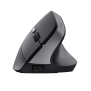 SOURIS SANS FIL TRUST BAYO II ERGONOMIQUE - NOIR