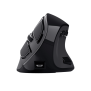 SOURIS SANS FIL TRUST VOXX ERGONOMIQUE RECHARGEABLE AVEC AFFICHAGE - NOIR