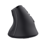SOURIS SANS FIL TRUST VOXX ERGONOMIQUE RECHARGEABLE AVEC AFFICHAGE - NOIR