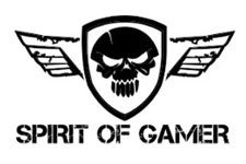 Spirit of gamer 